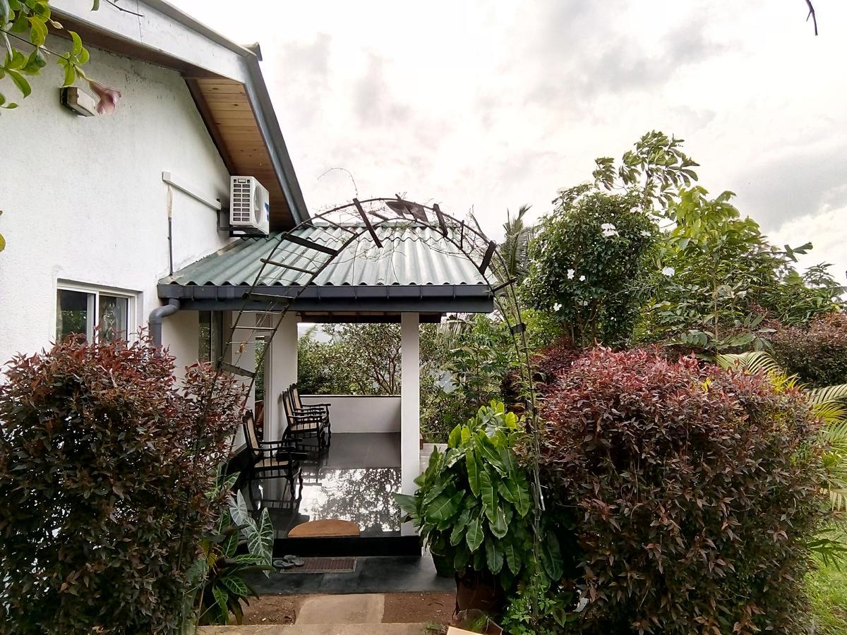 קנדי Primrose Hill Holiday Bunglow מראה חיצוני תמונה
